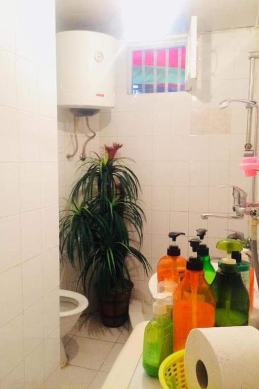 Apartament Lika'S Hause Tbilisi Zewnętrze zdjęcie